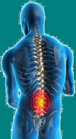 Gesundheitszentrum Team Physiologic WHV Osteopathie