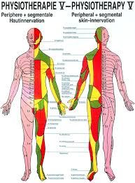 Gesundheitszentrum Team Physiologic WHV Schmerztherapie