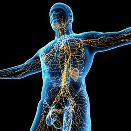 Gesundheitszentrum Team Physiologic WHV Lymphtherapie